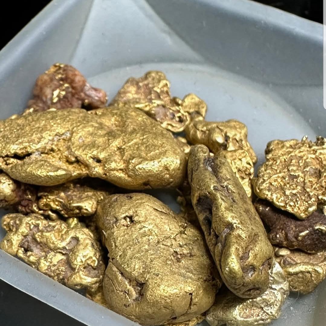 GOLD NUGGETS