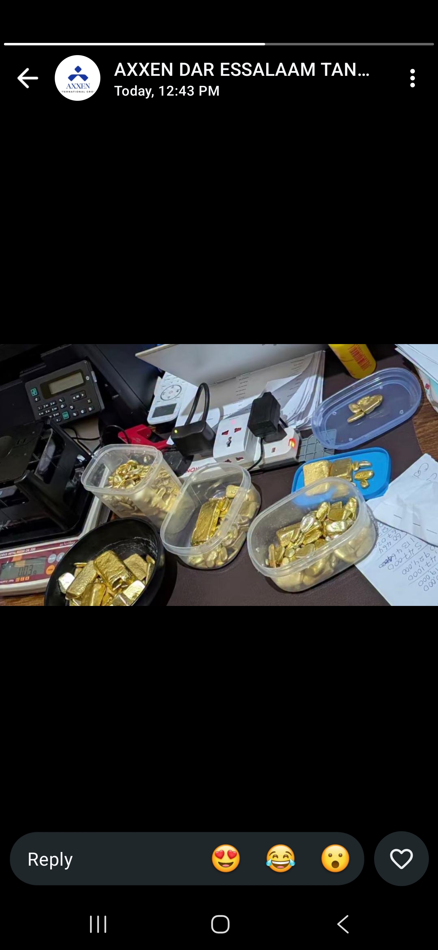 GOLD NUGGETS